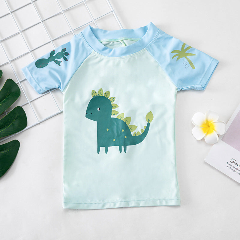 3Pc Cartoon Dinosaur Boys Swimwear Bathing Suit Set